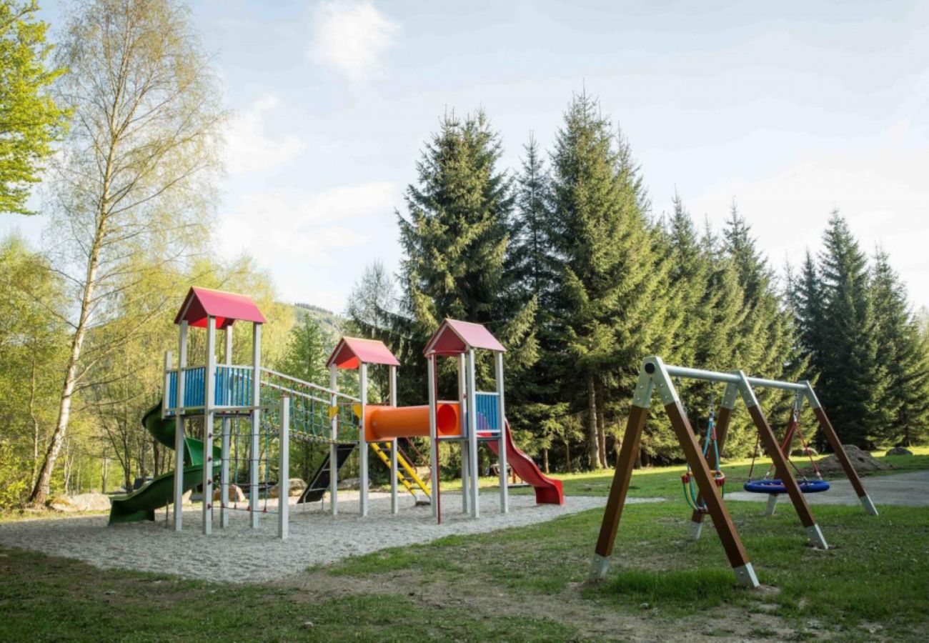Villa in Harrachov - Harrachov LHS420