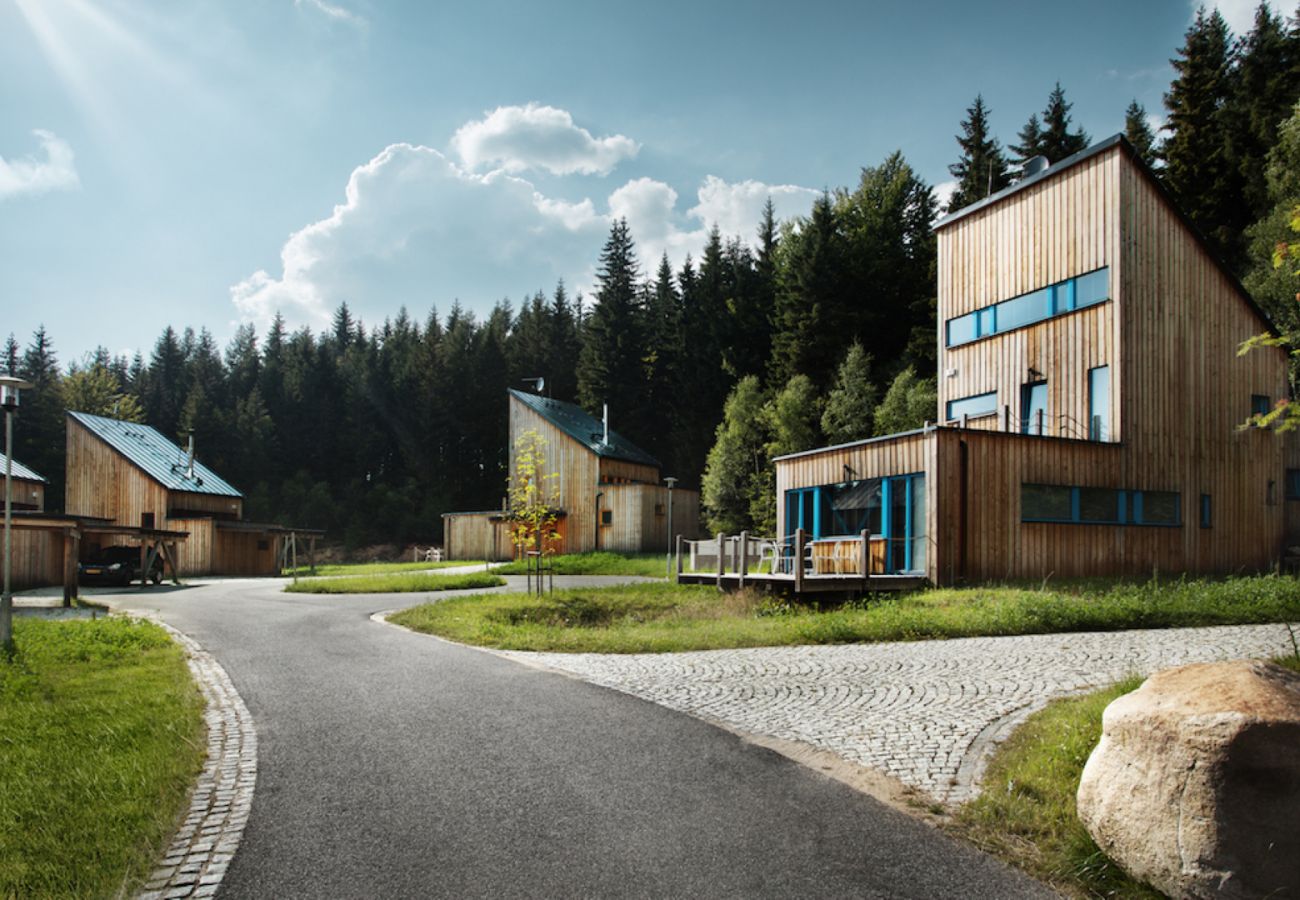 Villa in Harrachov - Harrachov LHS420
