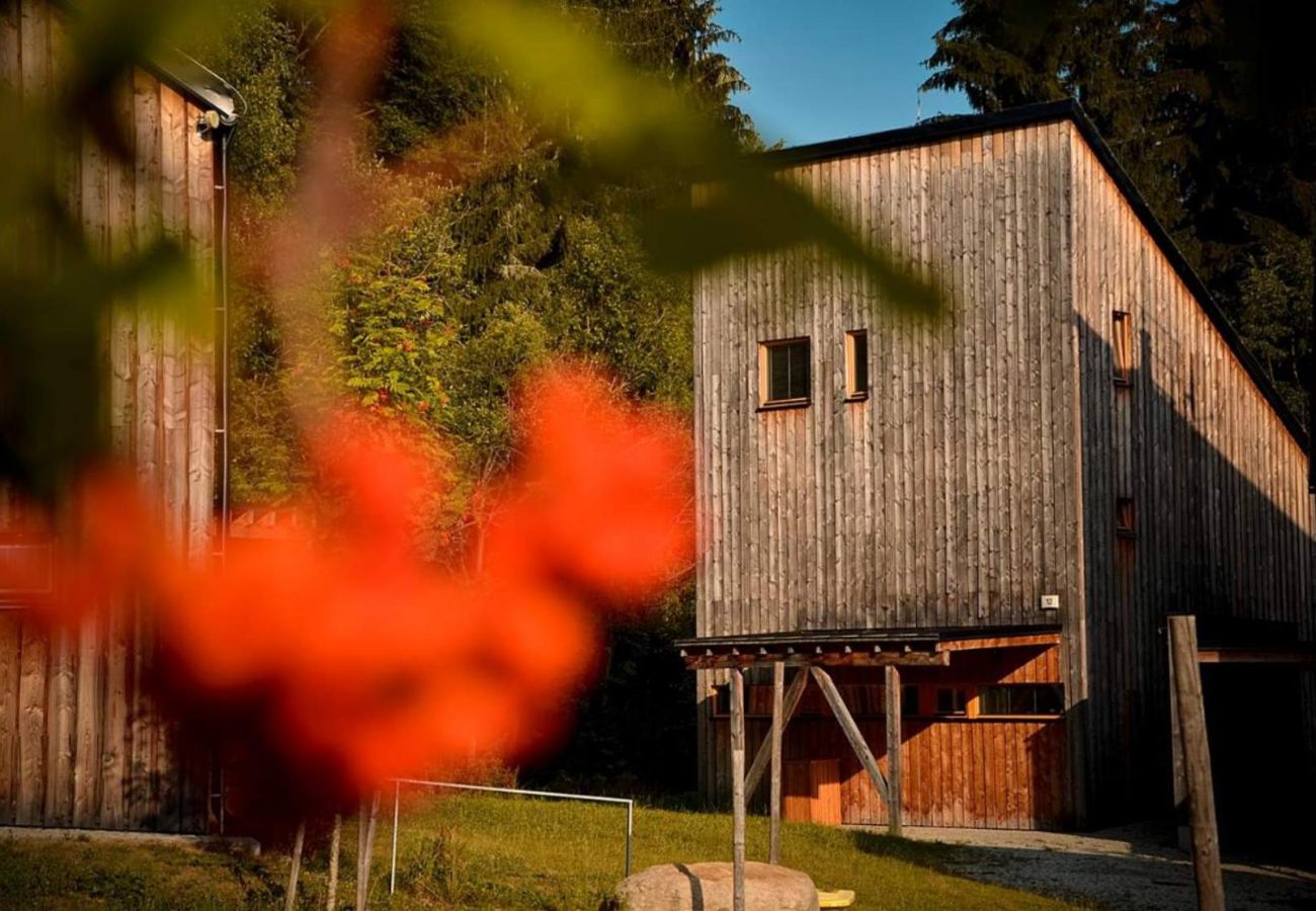 Villa in Harrachov - Harrachov LHS420