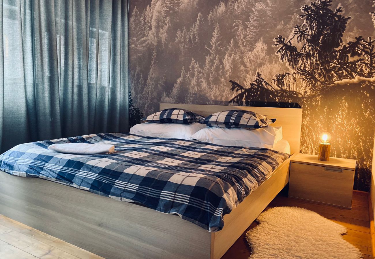 Villa in Harrachov - Harrachov LHS420