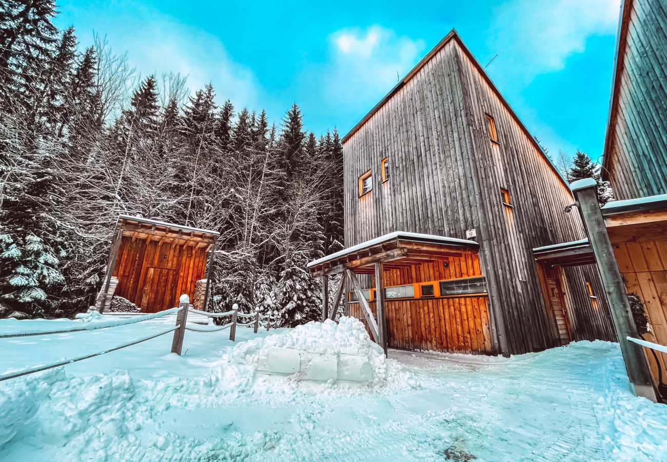 Villa in Harrachov - Harrachov LHS420