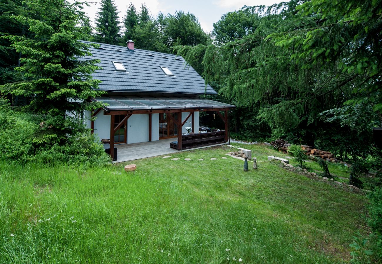 Villa in Klíny - Kliny UKN510