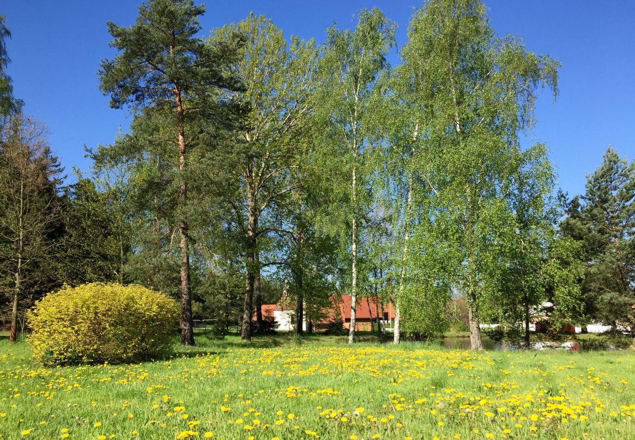 Villa in Drhovle - Drhovle SMS130