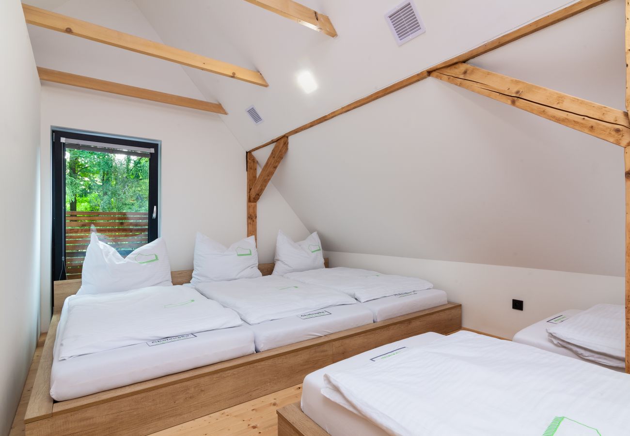 Villa in Ostravice - Ostravice MOMV515