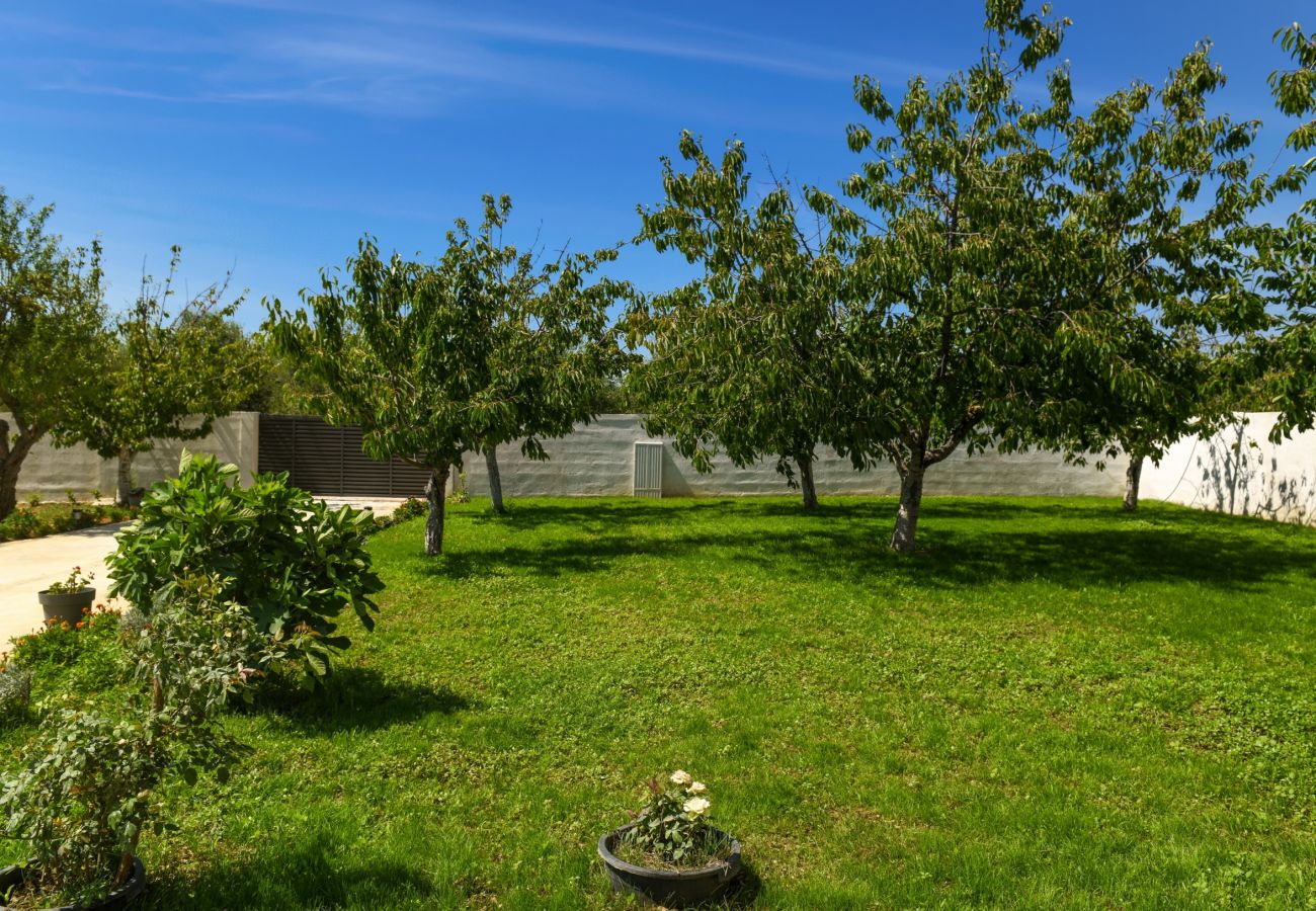 House in Galovac - Poolincluded - Holiday Home Anima
