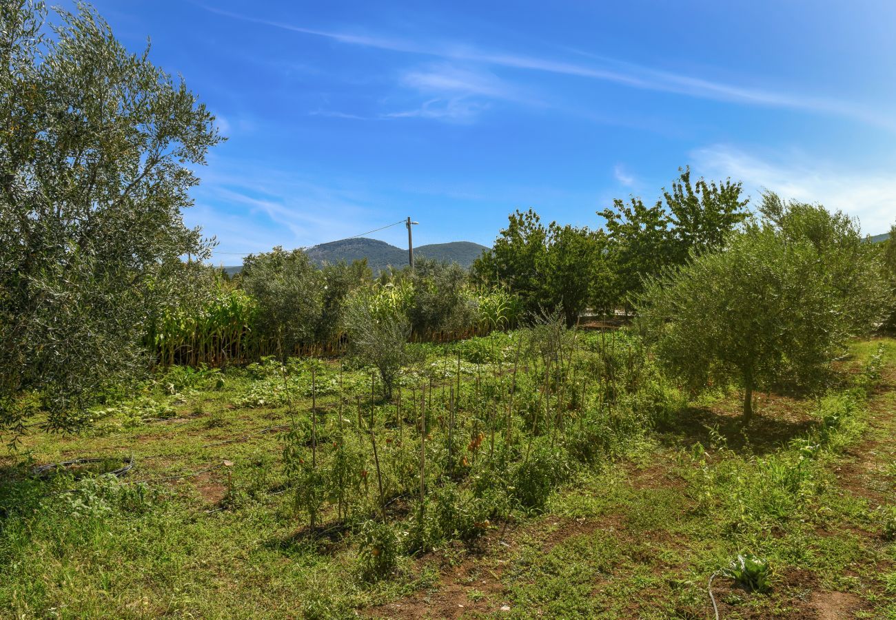 House in Galovac - Poolincluded - Holiday Home Anima