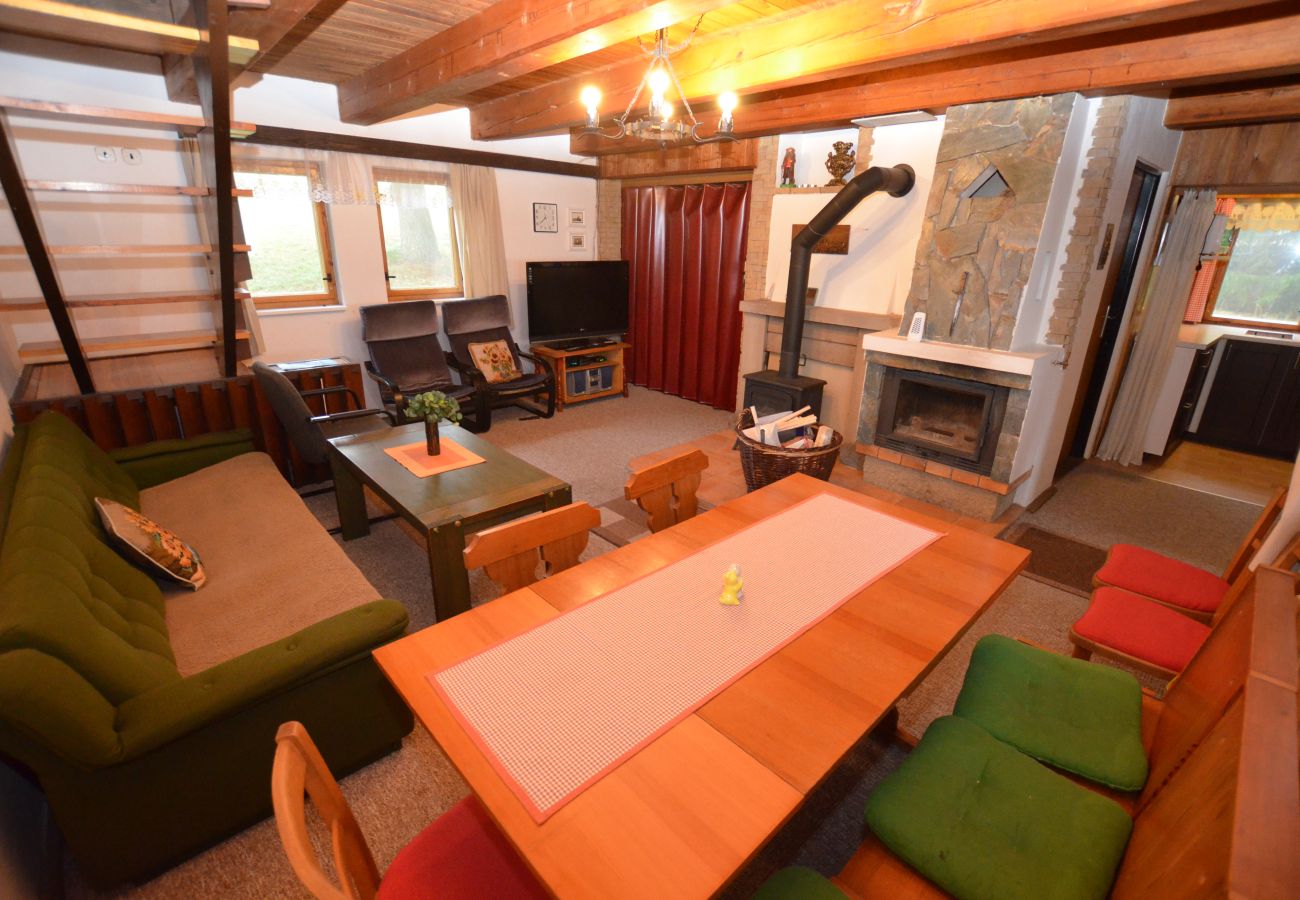 Cottage in Vítkovice - Mountain Chalet Hoja 2