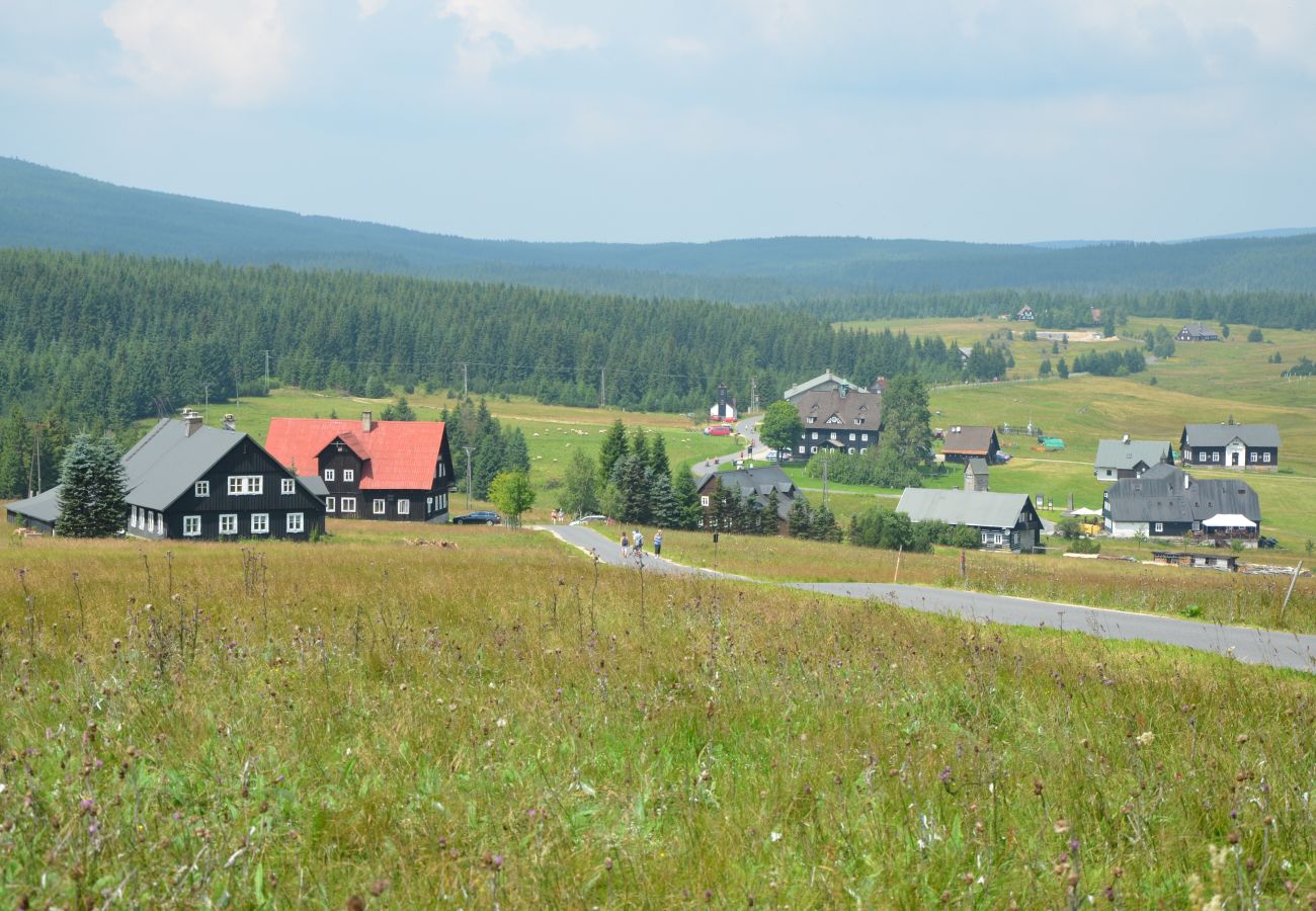 Chalet in Turnov - Poolincluded - Chalet Jizera