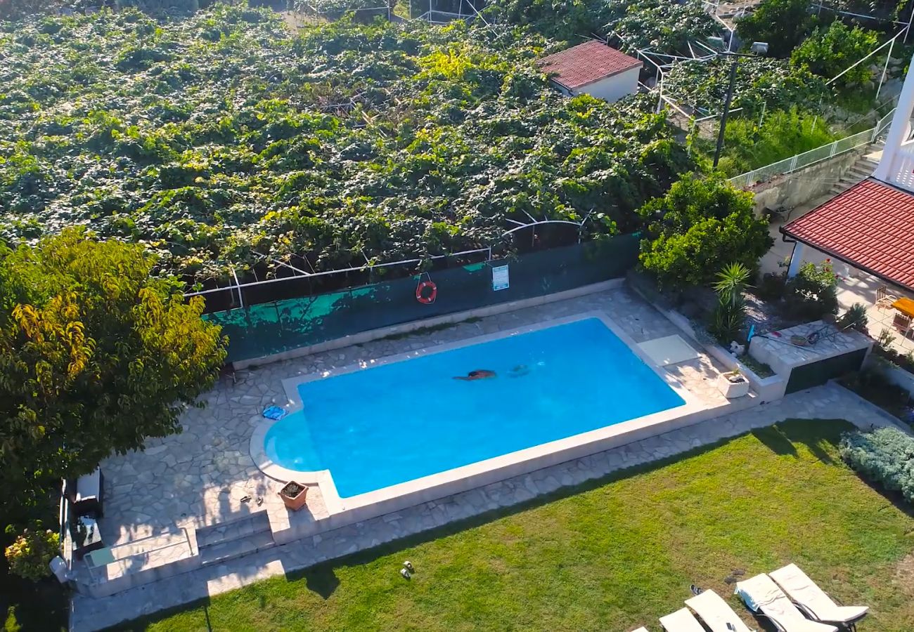 Apartment in Peracko Blato - Poolincluded - Apartment Pero