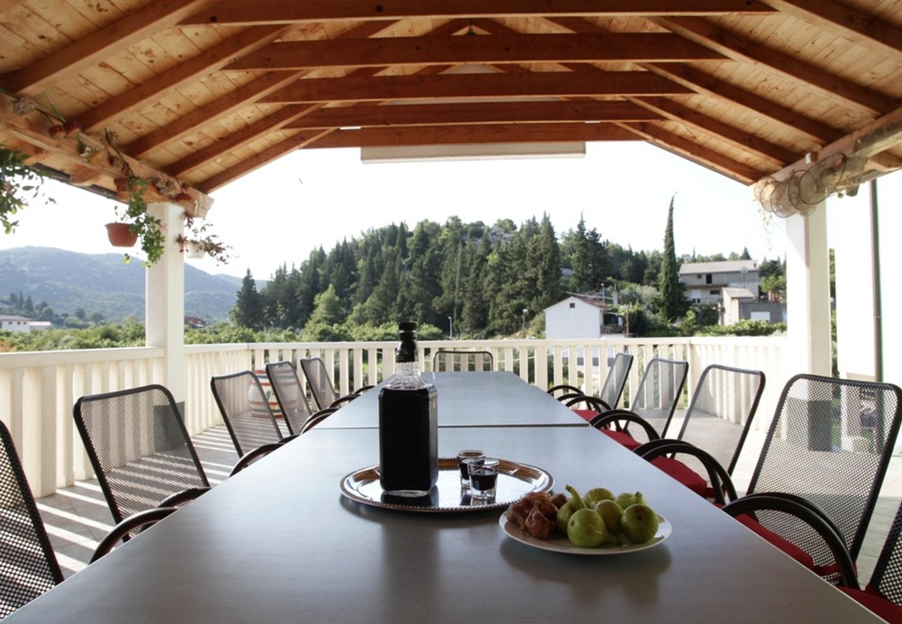Apartment in Peracko Blato - Poolincluded - Apartment Pero