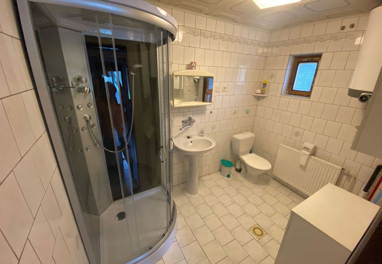 House in Osecná - Poolincluded holiday home Jested