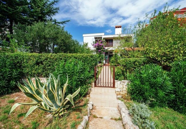 Apartment in Starigrad - Beachfront apartment Stipe Apartment in Starigrad - Beachfront apartment Stipe