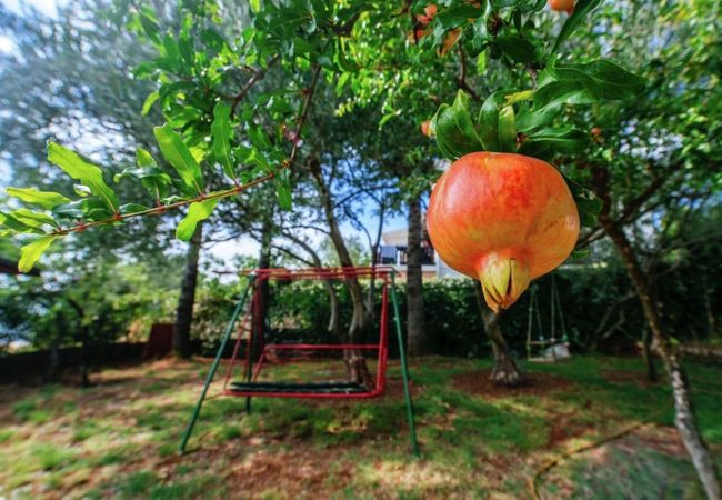 Apartment in Starigrad - Beachfront apartment Stipe Apartment in Starigrad - Beachfront apartment Stipe