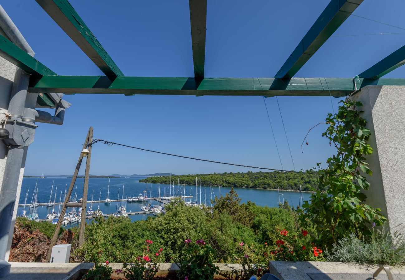 House in Veli Rat - Vacation house Mirta