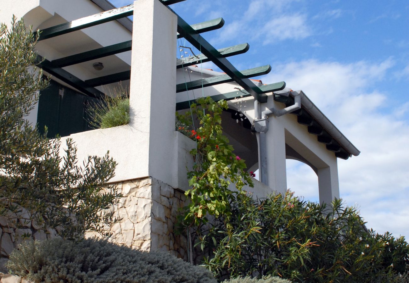 House in Veli Rat - Vacation house Mirta