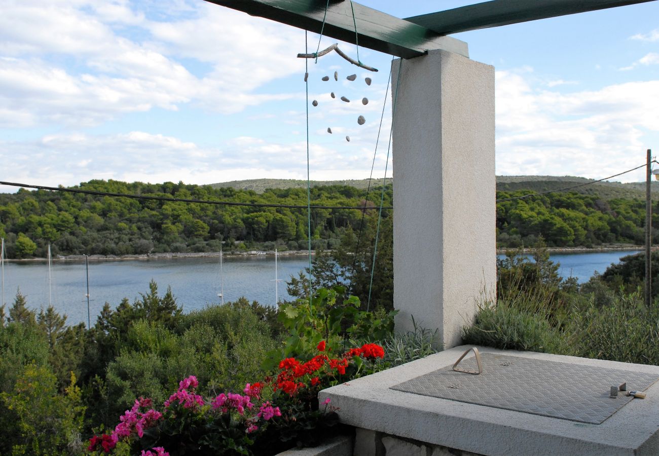 House in Veli Rat - Vacation house Mirta