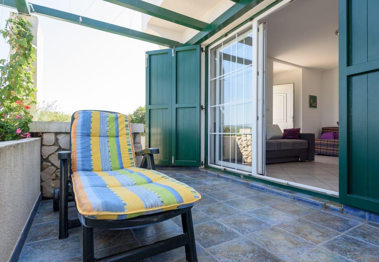 House in Veli Rat - Vacation house Mirta
