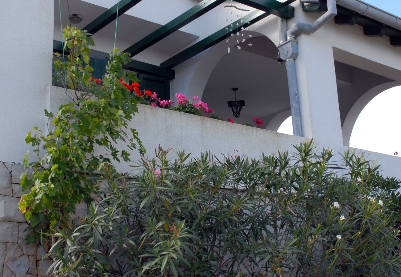 House in Veli Rat - Vacation house Mirta