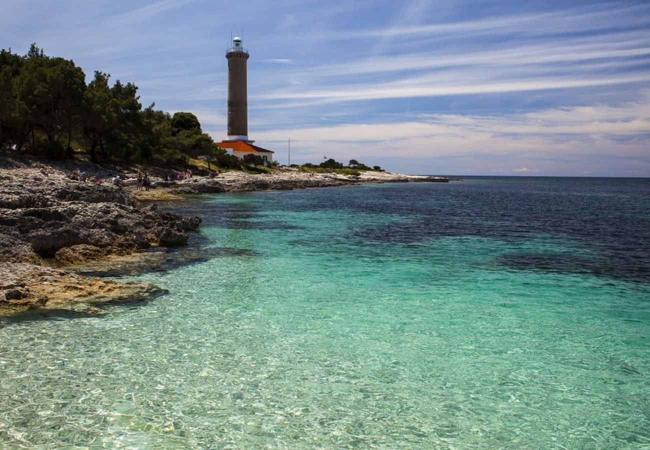 House in Veli Rat - Vacation house Mirta