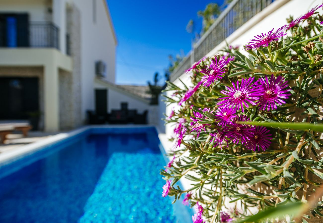Villa in Vinjerac - Poolincluded - Villa Coza