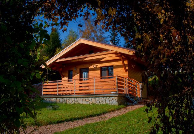 Becov nad Teplou - Villa
