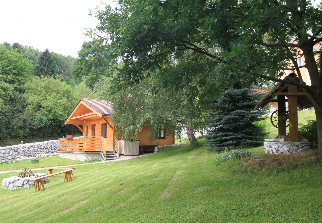 Villa in Becov nad Teplou -  Bečov nad Teplou KABS161