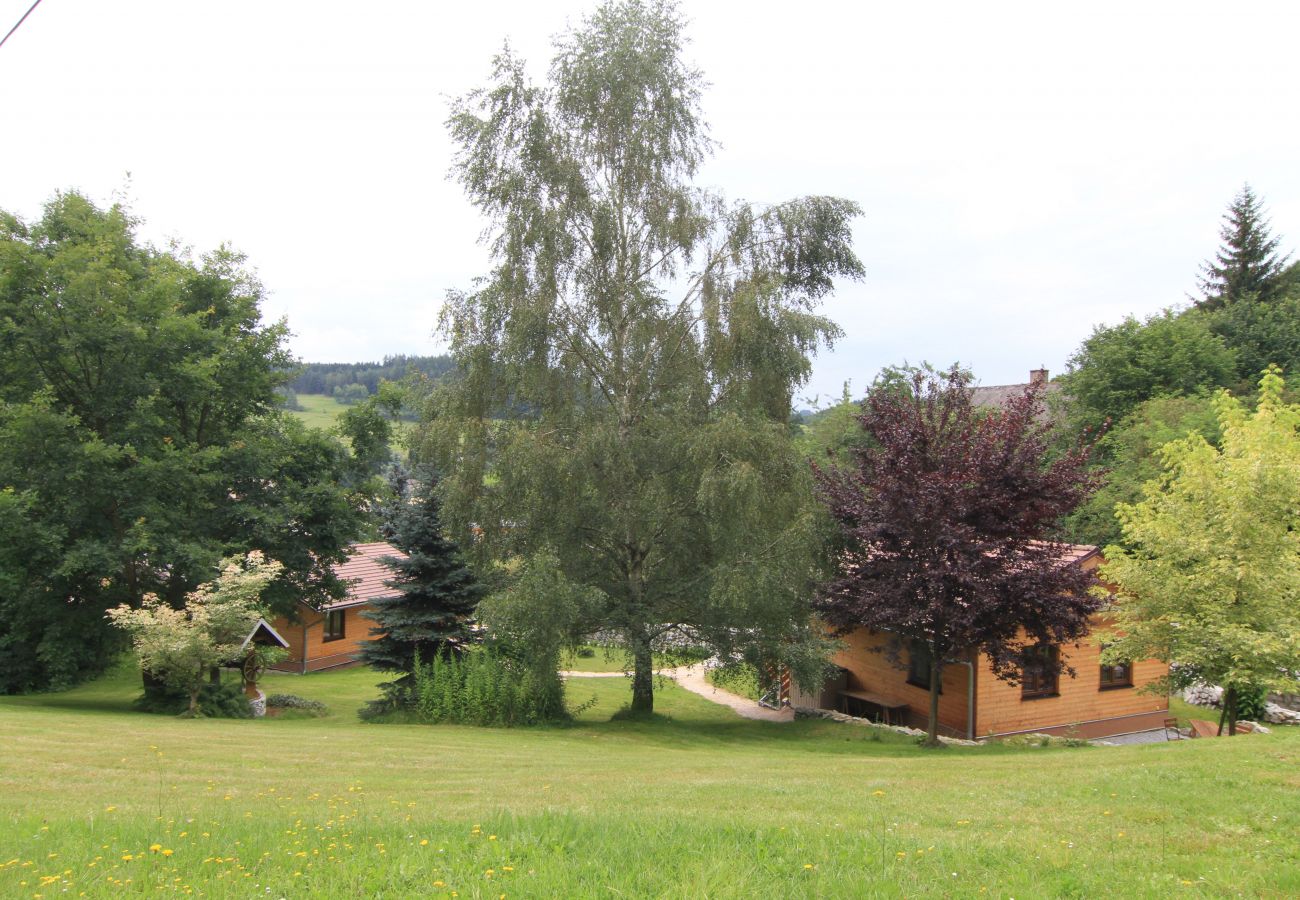 Villa in Becov nad Teplou -  Bečov nad Teplou KABS161
