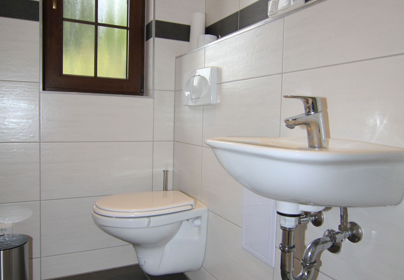 Villa in Becov nad Teplou -  Bečov nad Teplou KABS161