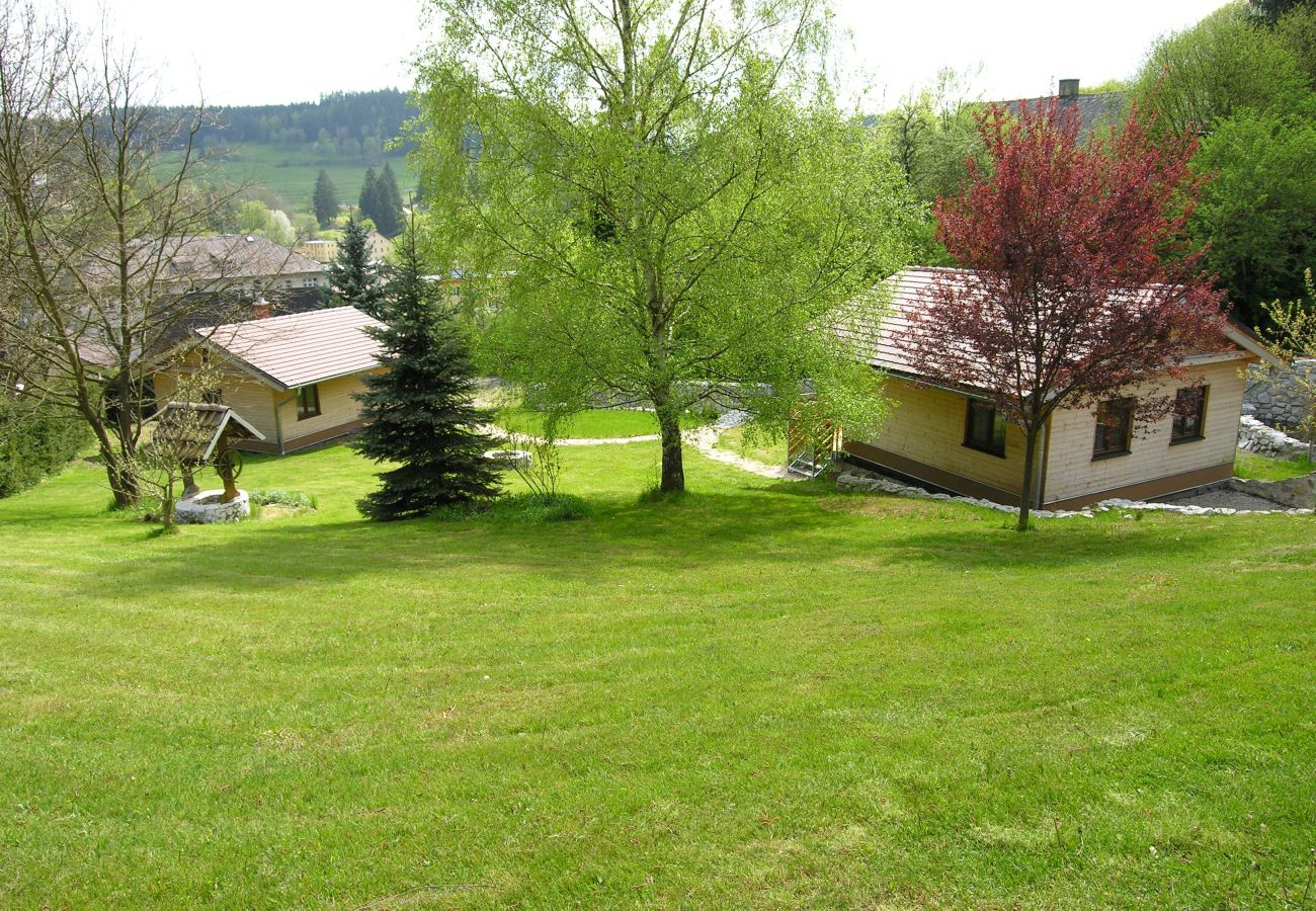 Villa in Becov nad Teplou -  Bečov nad Teplou KABS161