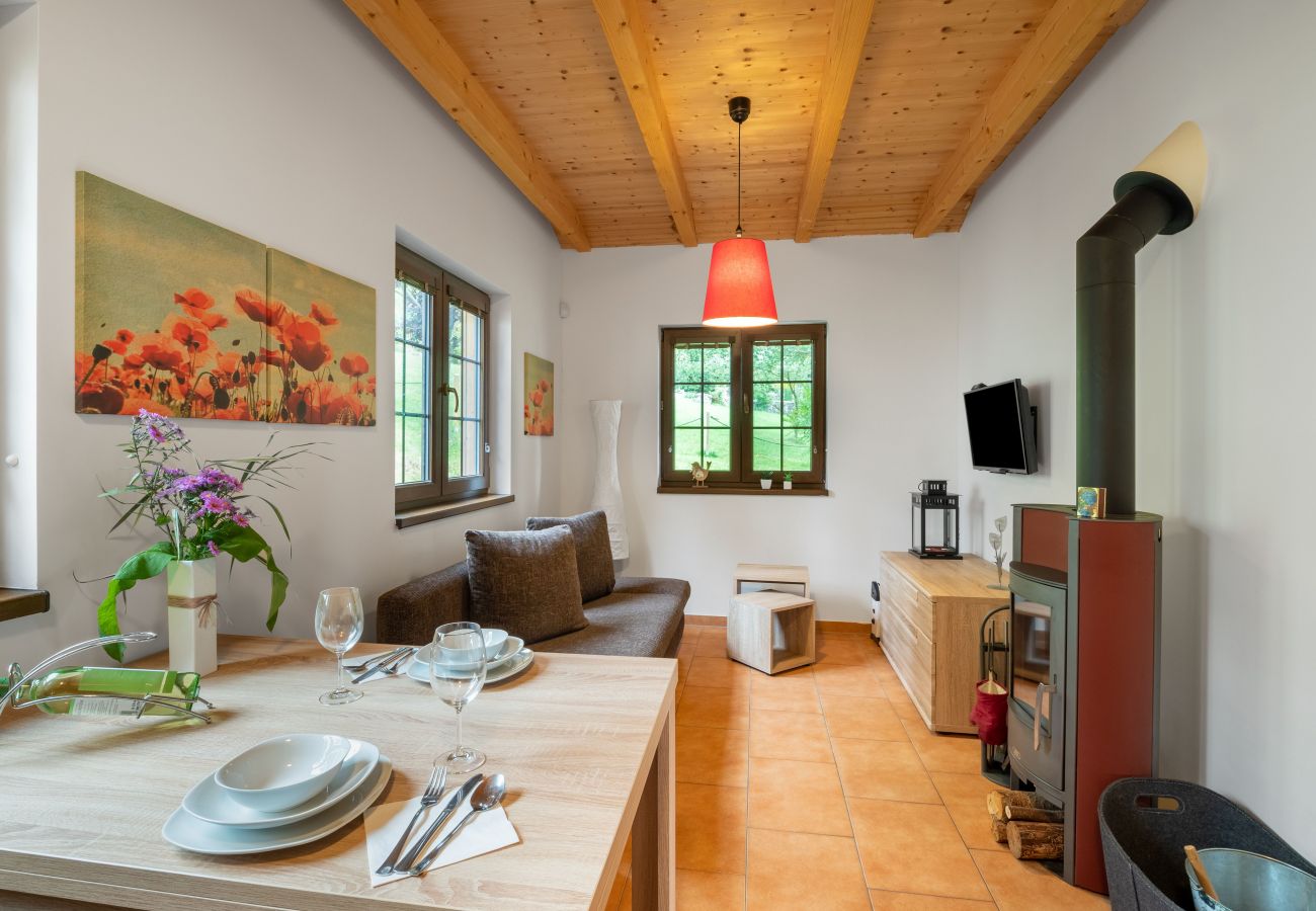 Villa in Becov nad Teplou -  Bečov nad Teplou KABS161