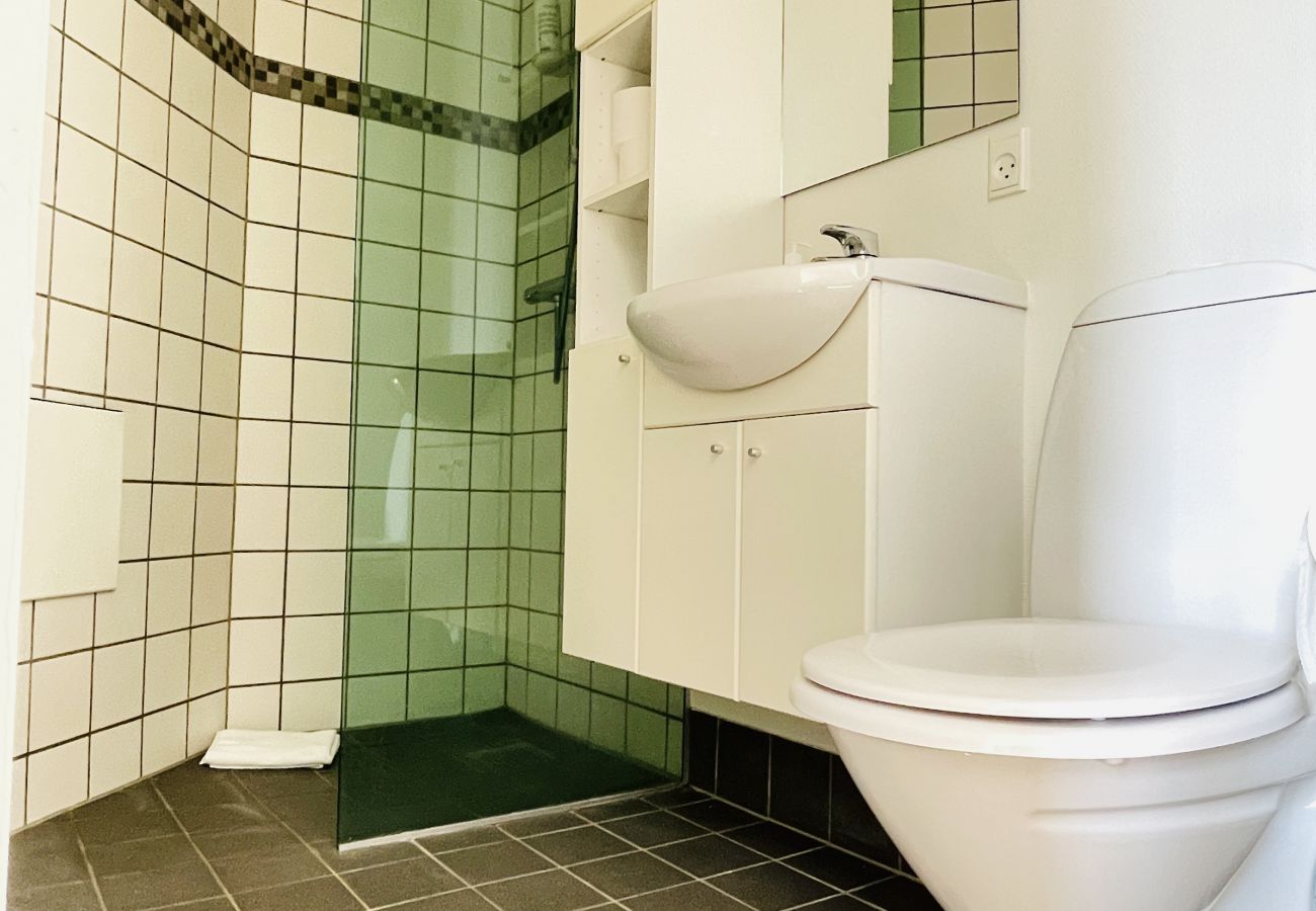 Apartment in Aalborg - aday - Apartment with Balcony and barbecue