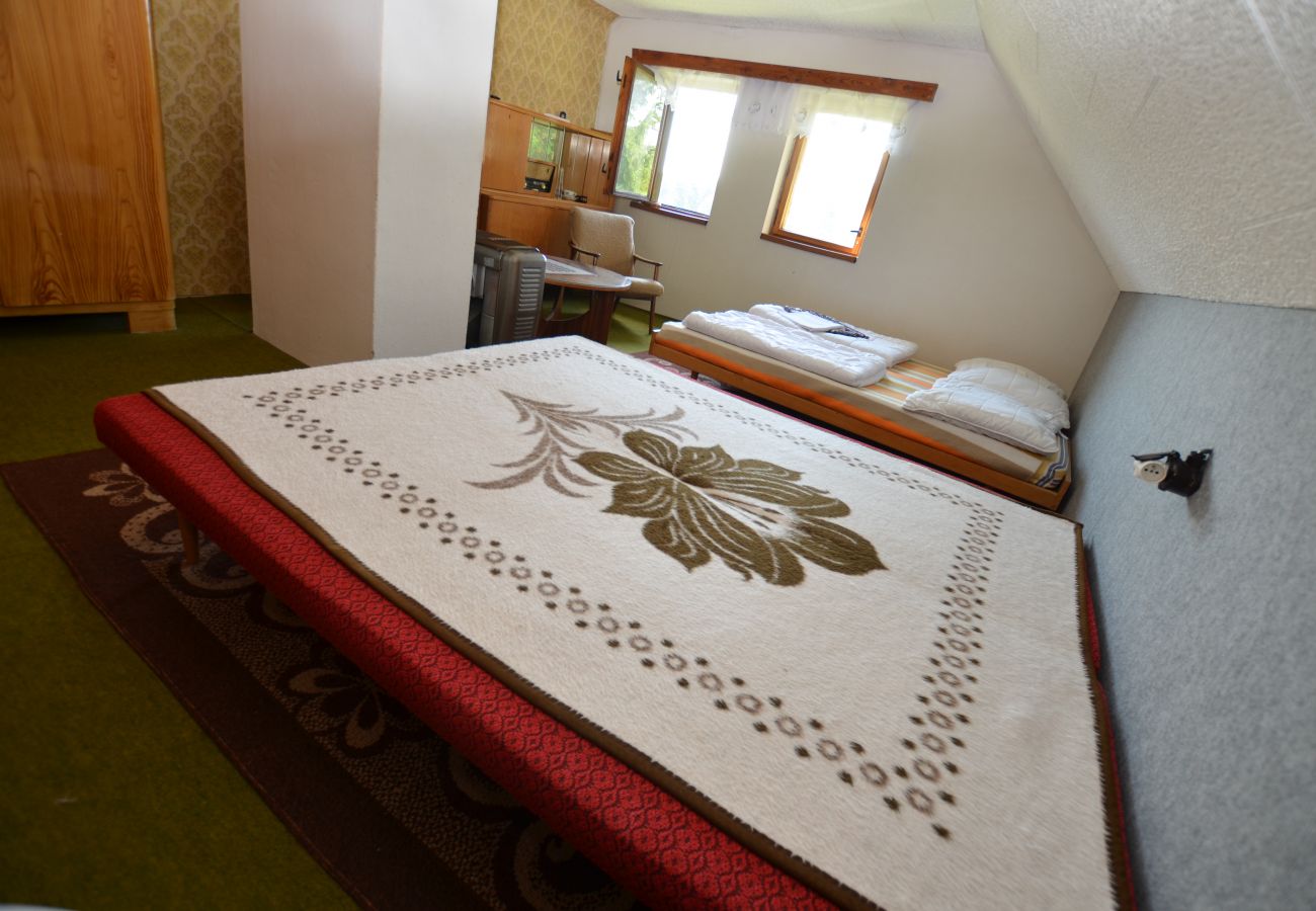 Cottage in Vítkovice - Mountain Chalet Hoja 1 