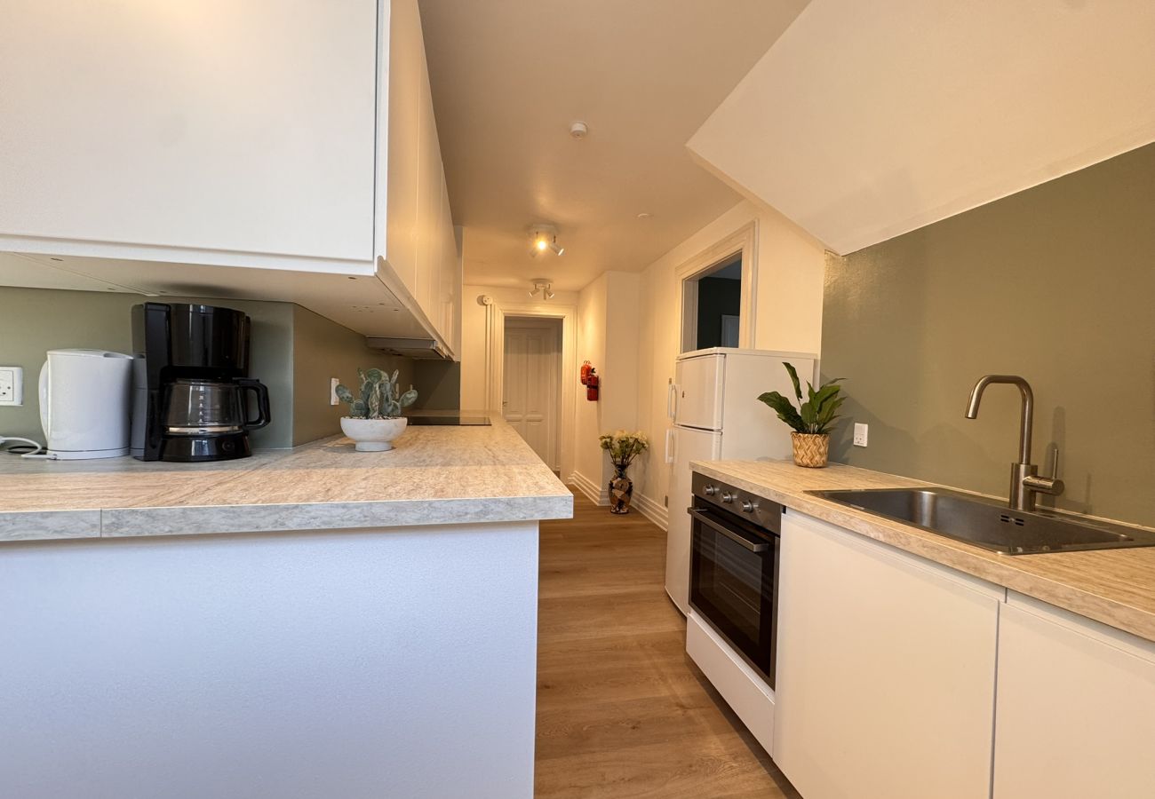 Apartment in Aalborg - aday - Aalborg Mansion - 3 Bedrooms Apartment