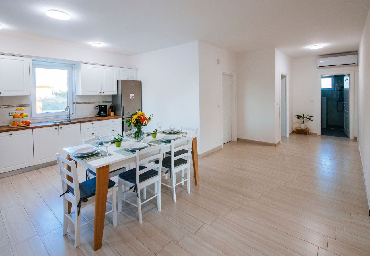 House in Privlaka - Poolincluded - Villa Privlaka