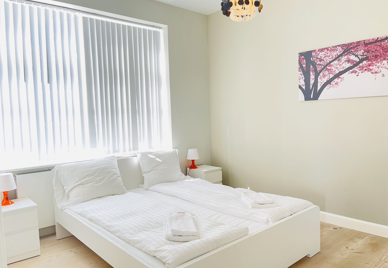 Apartment in Aalborg - aday - 2 bedroom with modern kitchen and free parking
