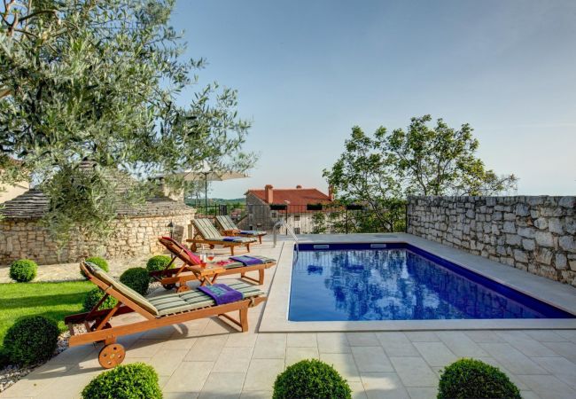  in Višnjan - Poolincluded - Villa Adriana