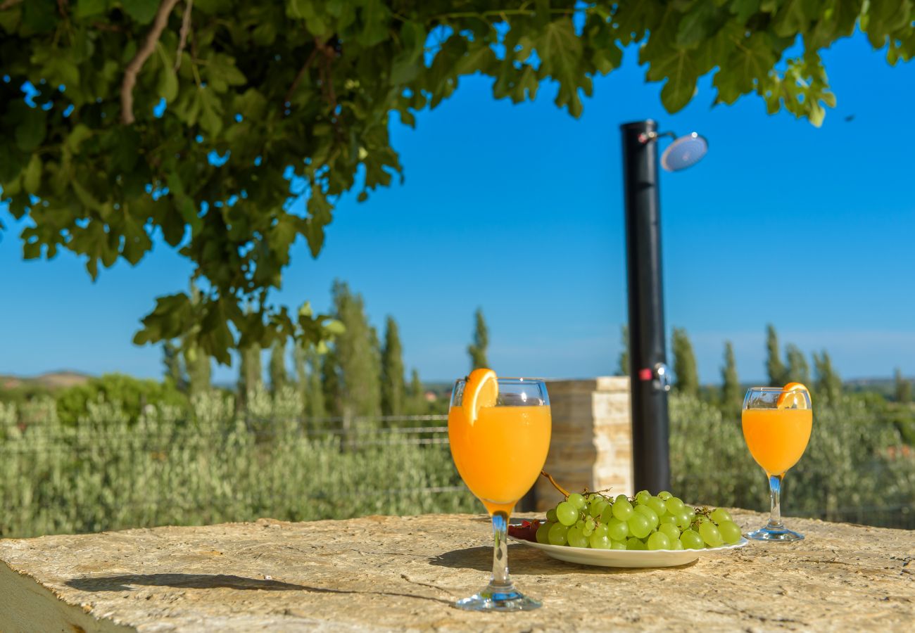 House in Lišane Ostrovicke - Poolincluded - Holiday Home Maslina 