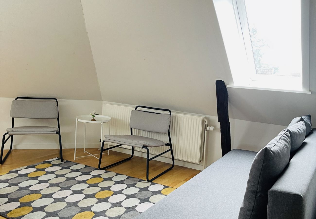 Apartment in Aalborg - aday - City Central Mansion - 4 bedroom apartment