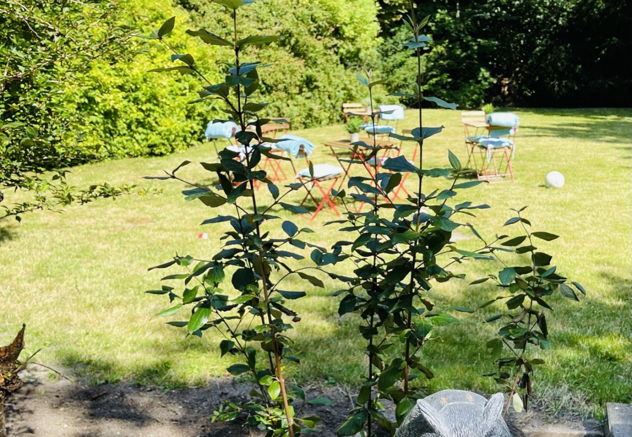 Apartment in Aalborg - aday - Aalborg mansion - Open bright apartment with garden