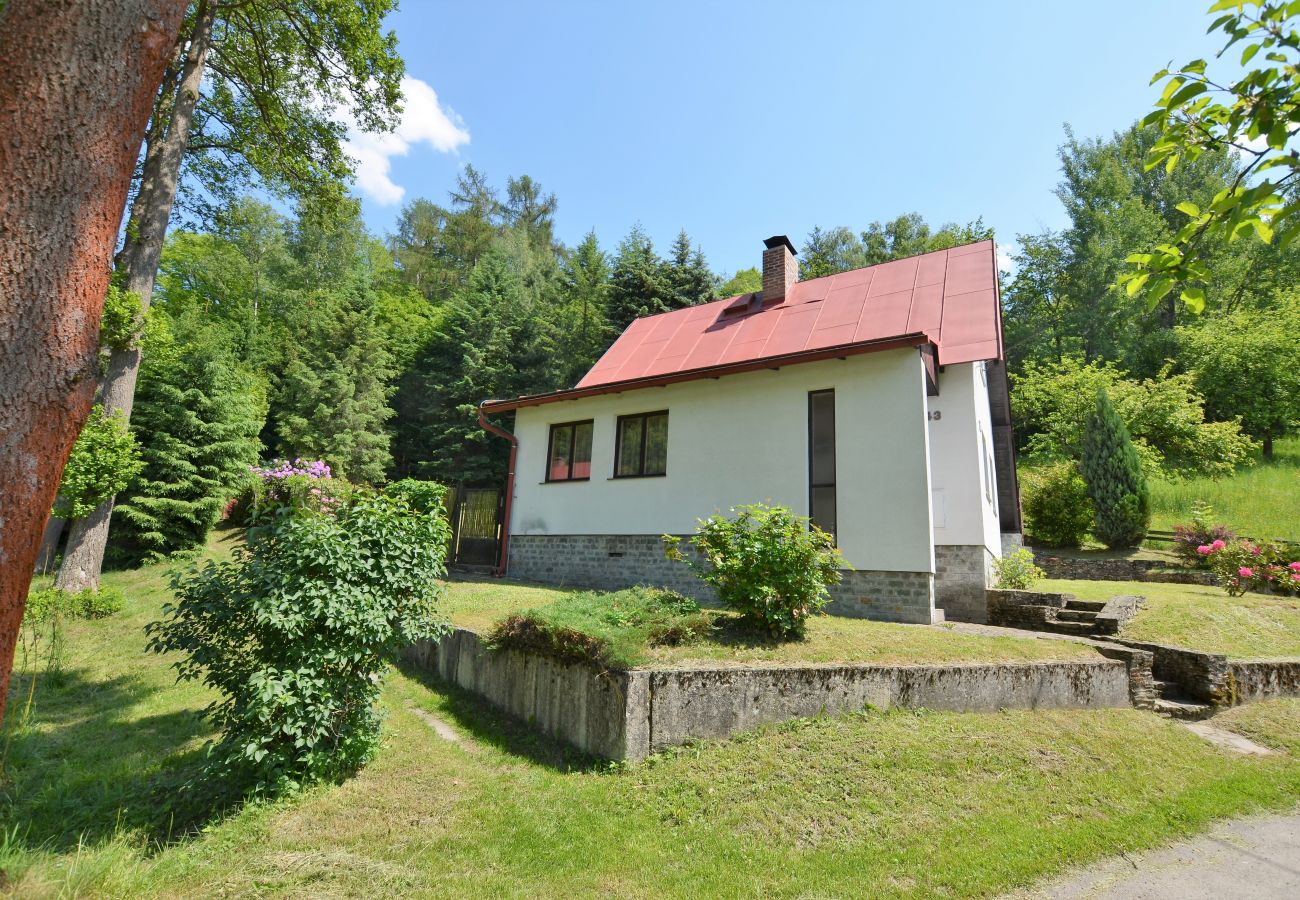 Chalet in Železný Brod - Chalet Jahor