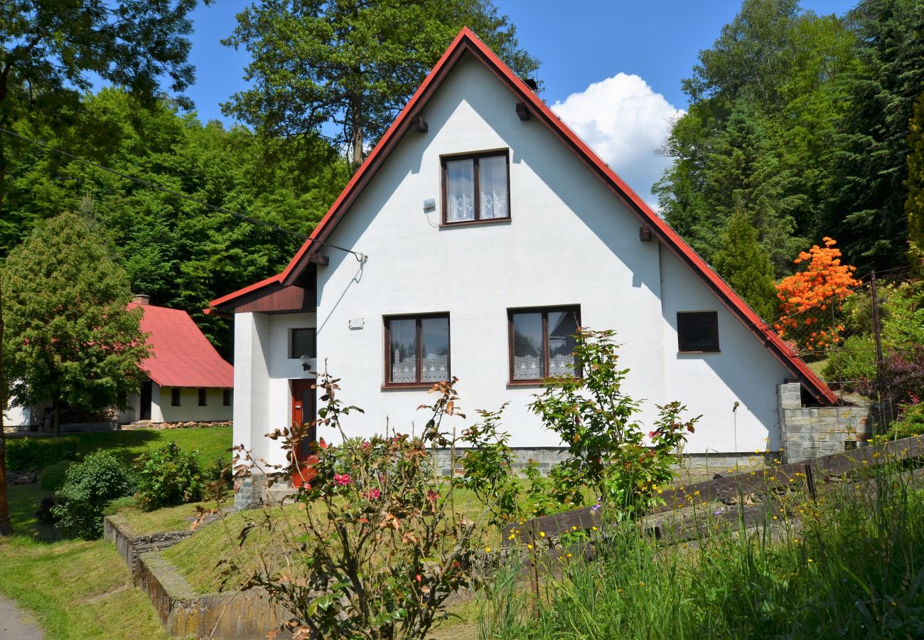 Chalet in Železný Brod - Chalet Jahor