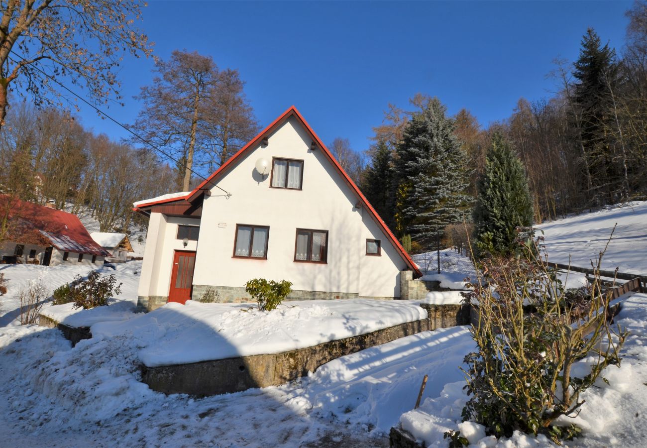 Chalet in Železný Brod - Chalet Jahor