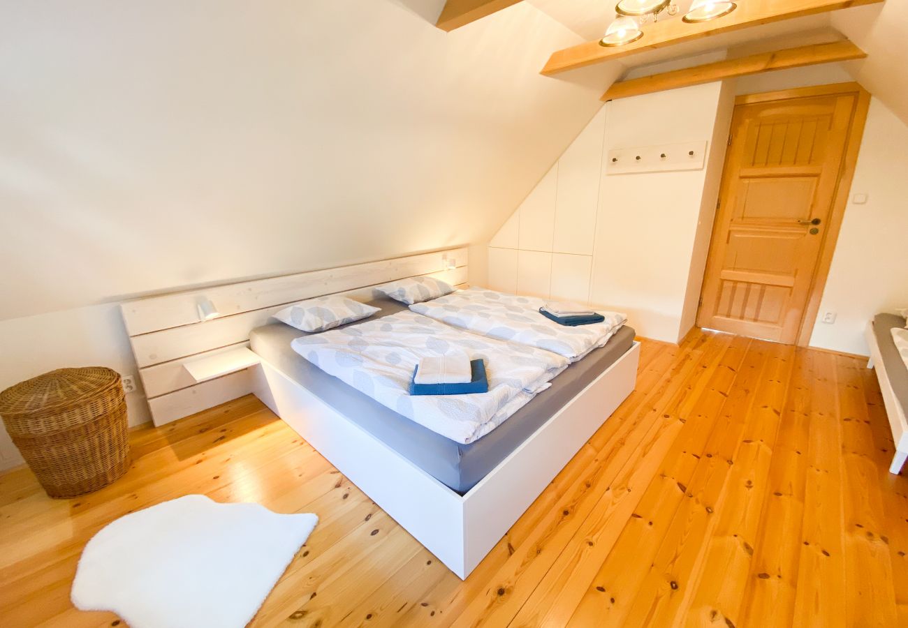 Villa in Nové Mesto pod Smrkem -  Ludvikov LLP035