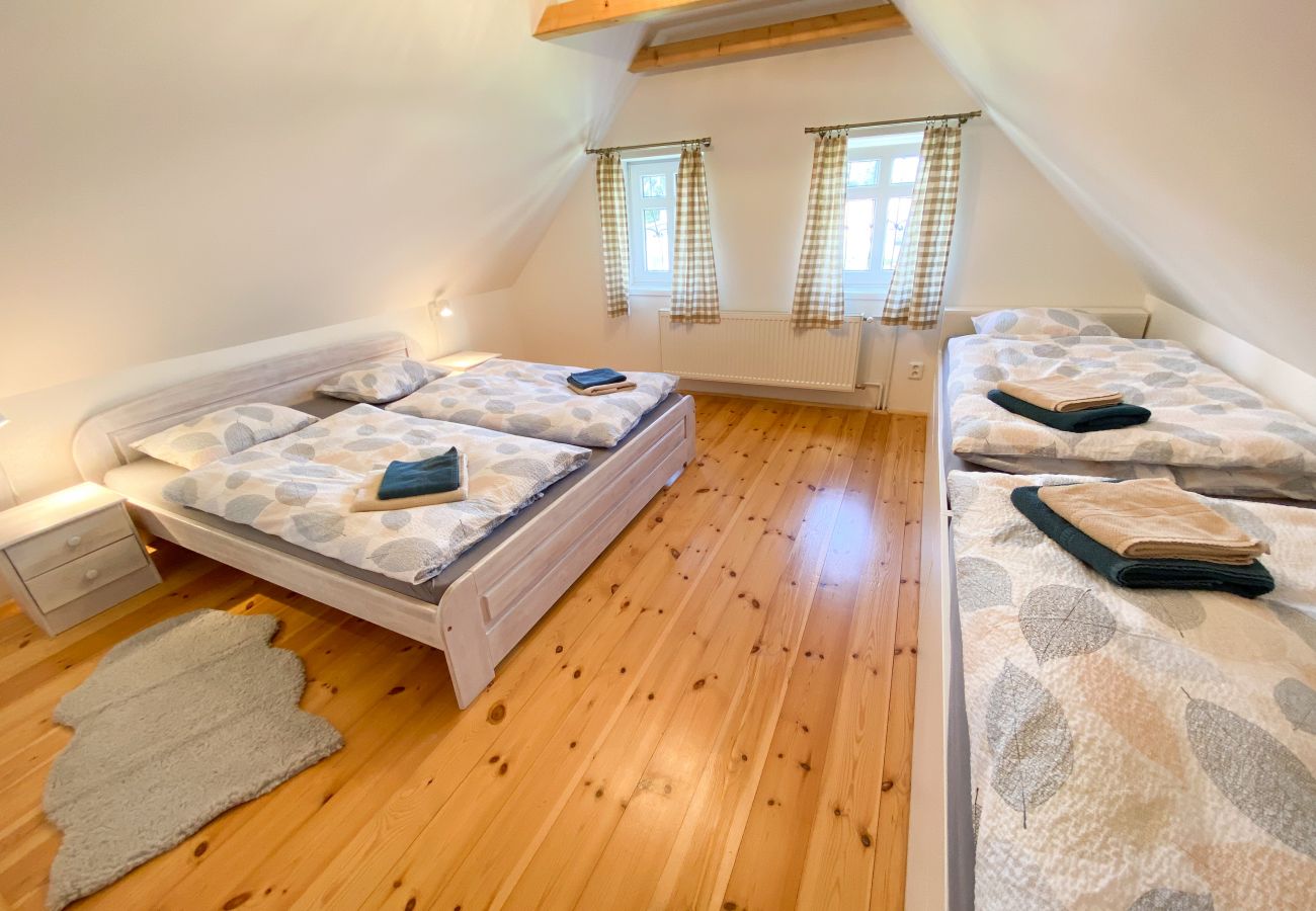 Villa in Nové Mesto pod Smrkem -  Ludvikov LLP035
