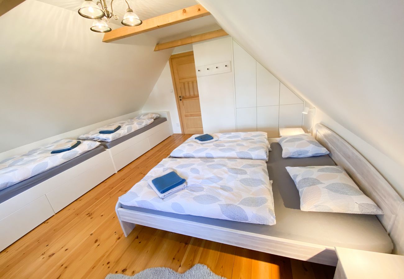 Villa in Nové Mesto pod Smrkem -  Ludvikov LLP035