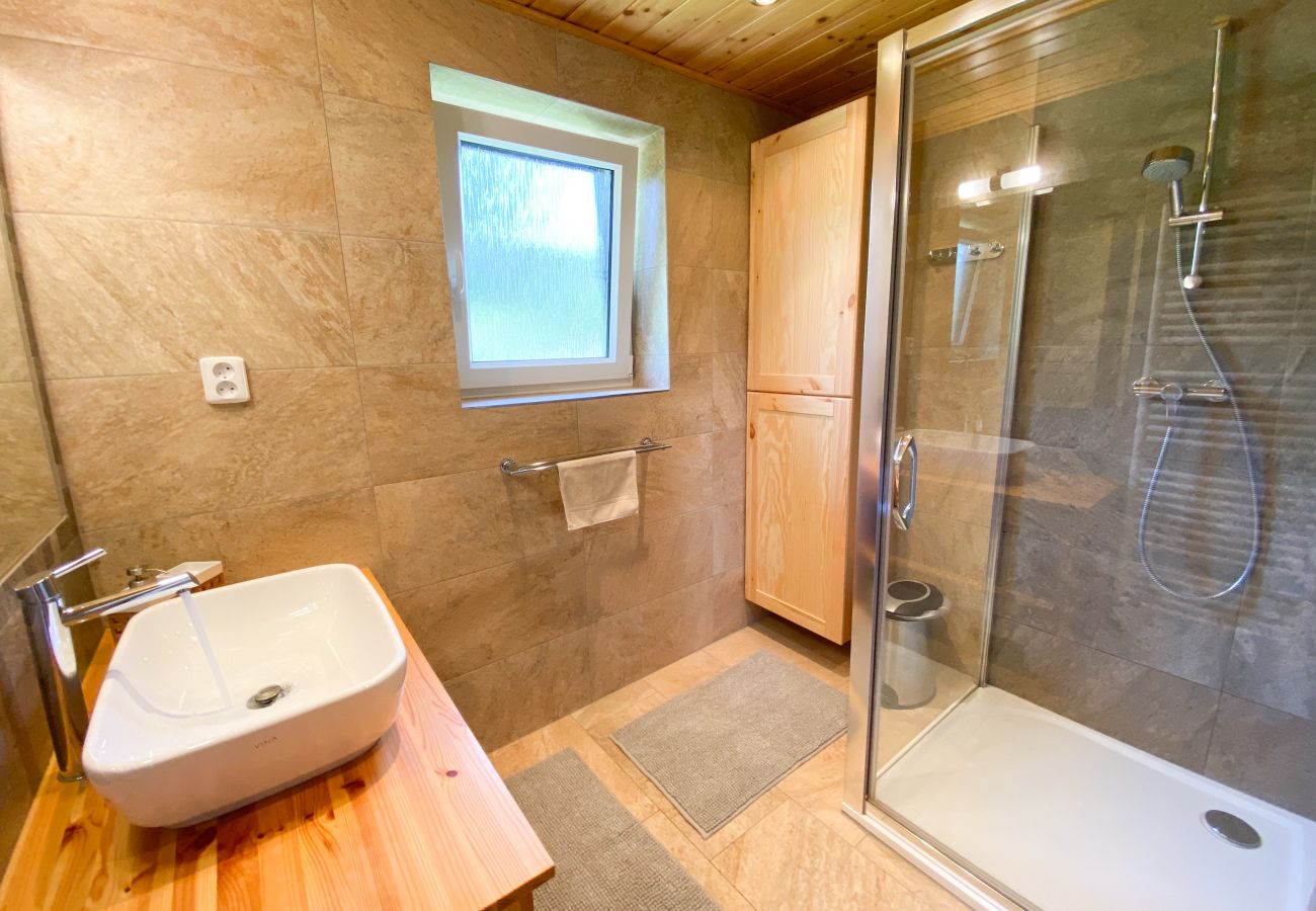 Villa in Nové Mesto pod Smrkem -  Ludvikov LLP035