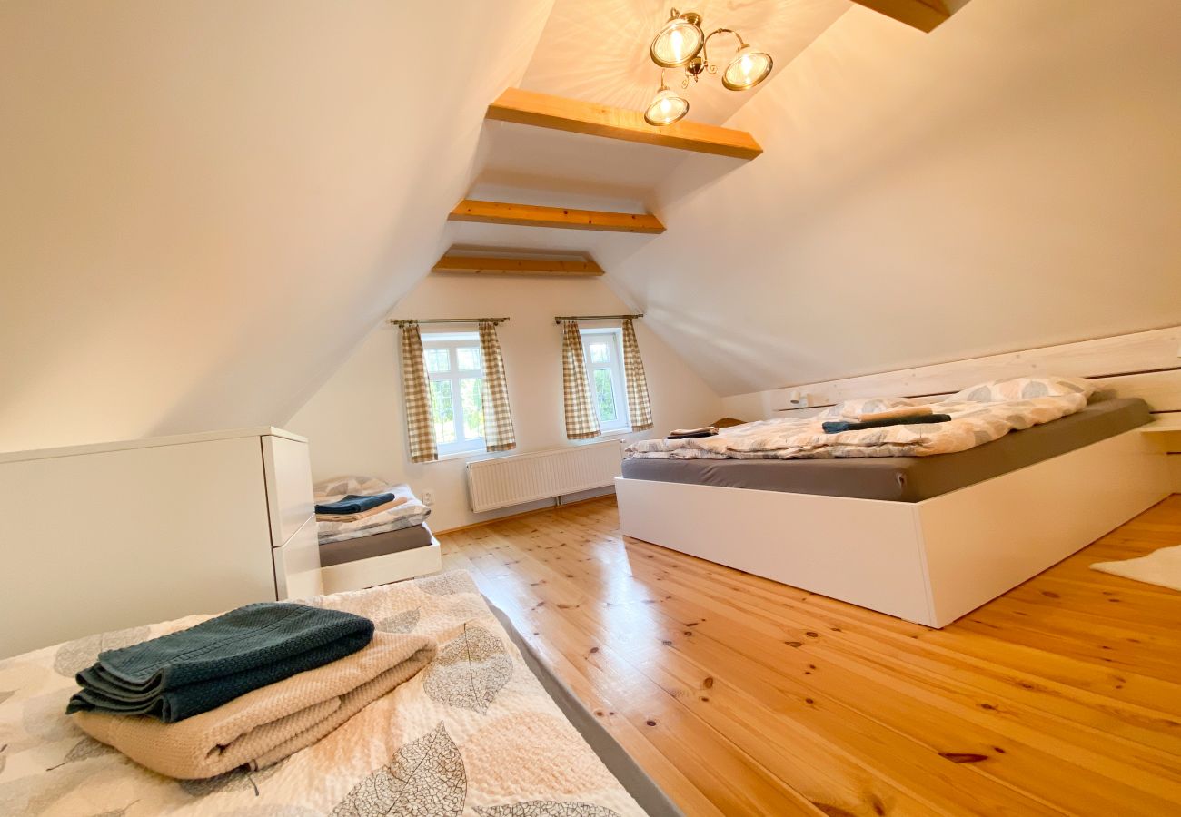 Villa in Nové Mesto pod Smrkem -  Ludvikov LLP035