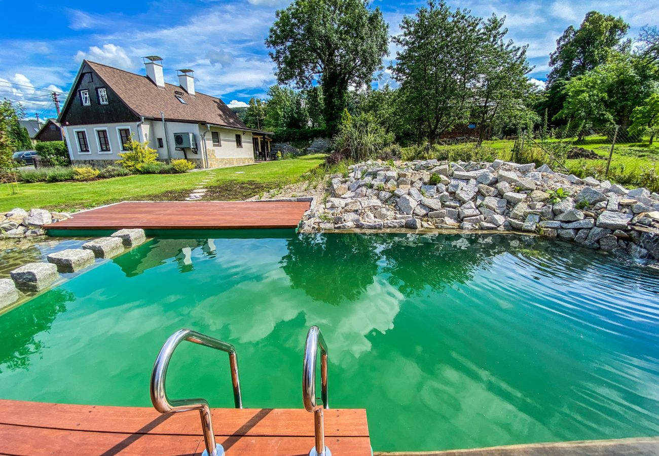 Villa in Nové Mesto pod Smrkem -  Ludvikov LLP035