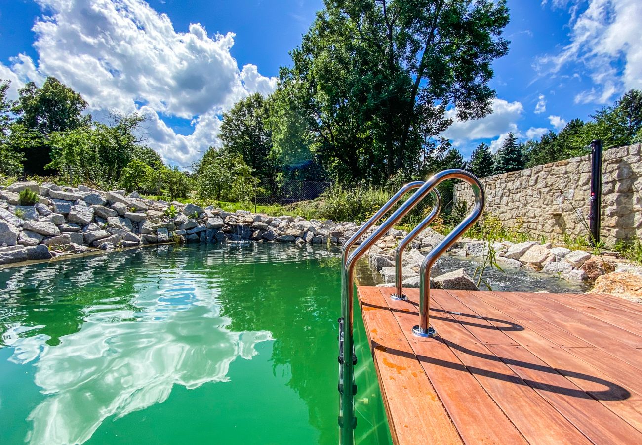 Villa in Nové Mesto pod Smrkem -  Ludvikov LLP035