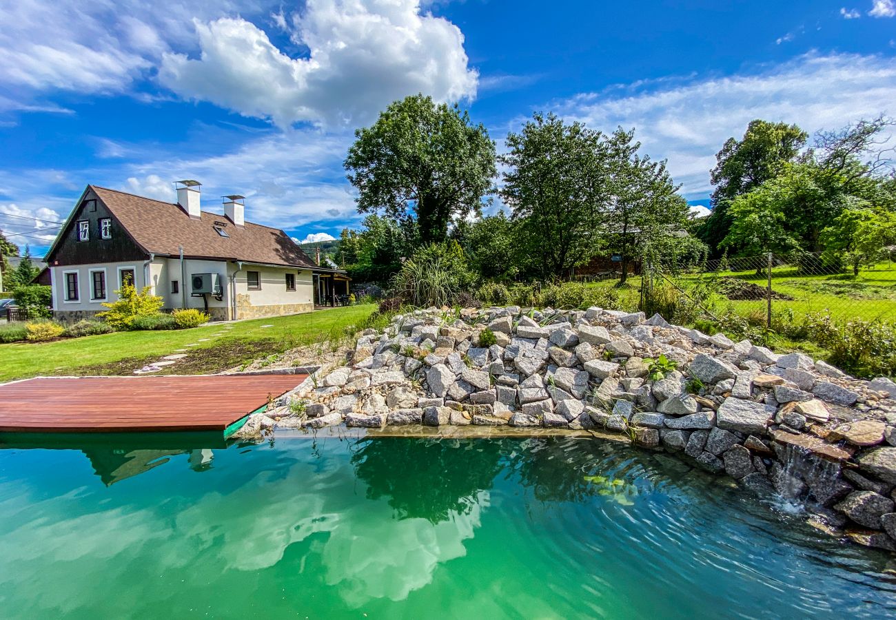 Villa in Nové Mesto pod Smrkem -  Ludvikov LLP035